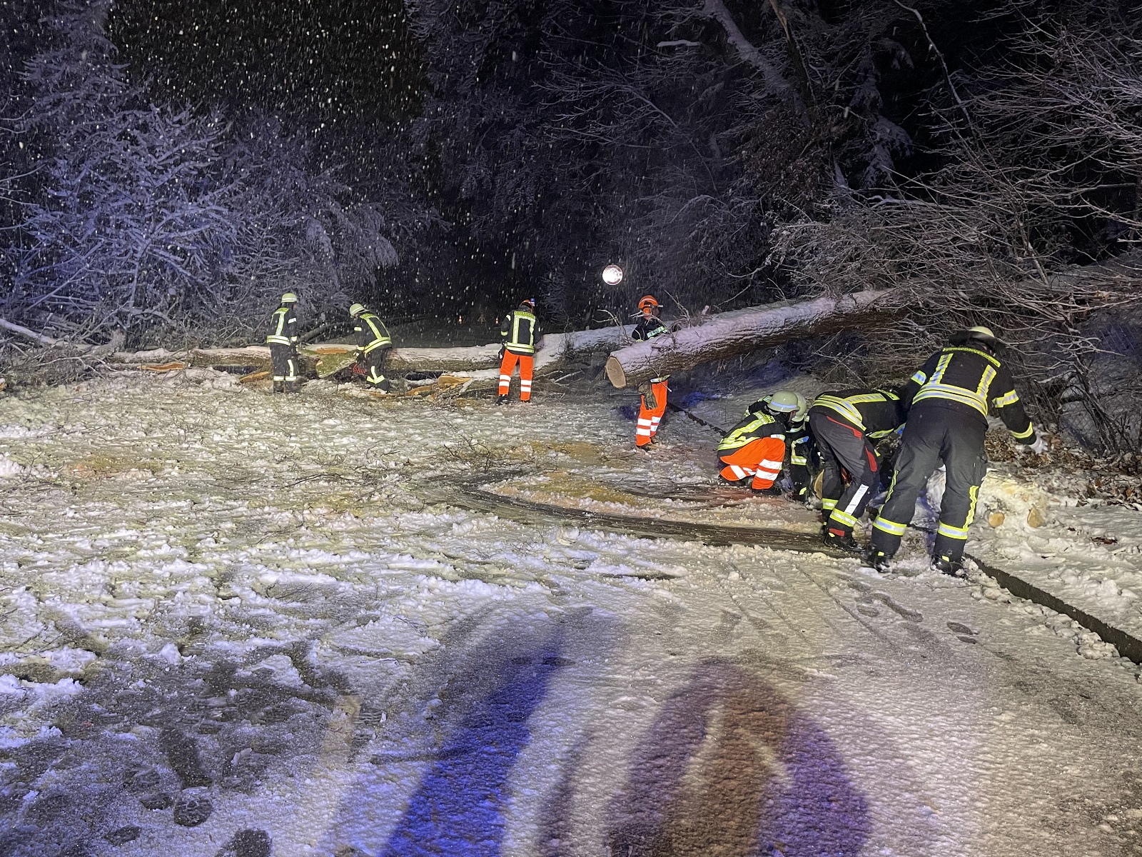 Leise rieselt(e) der Schnee